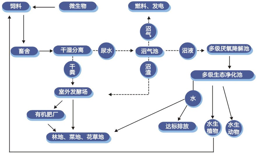 湖南易净-猪场废水处理